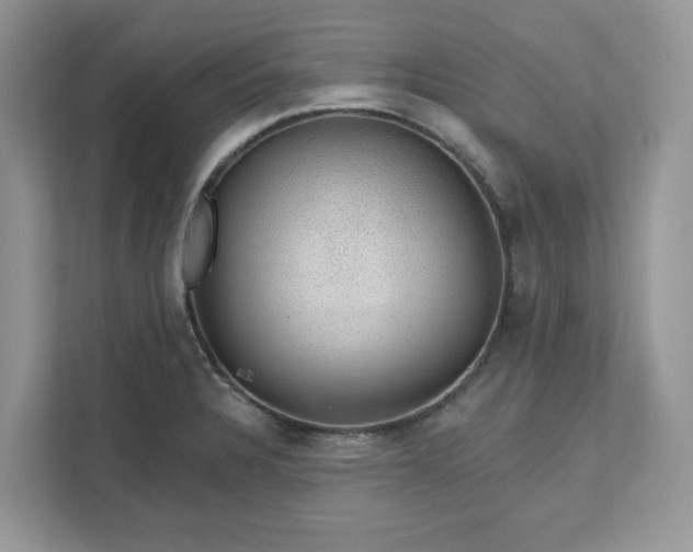 X0000111581328200907301356