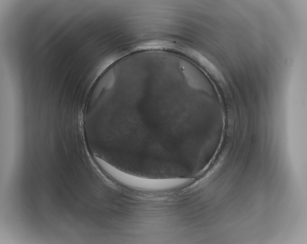 X0000111581329200907301356