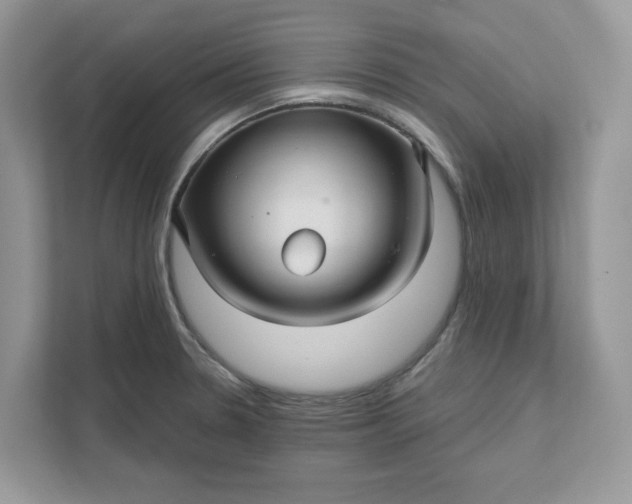 X0000111581330200907301356