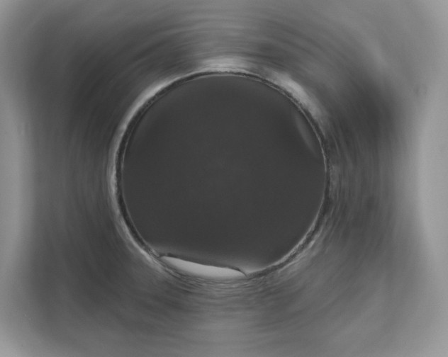 X0000111581331200907301356