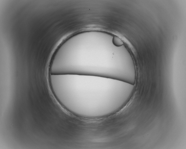 X0000111581333200907301356