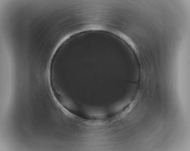 X0000111581334200907301356