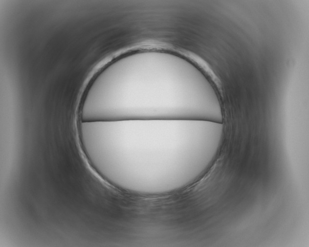 X0000111581335200907301356