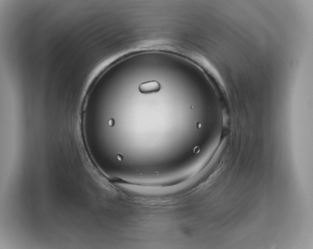 X0000111581336200907301356