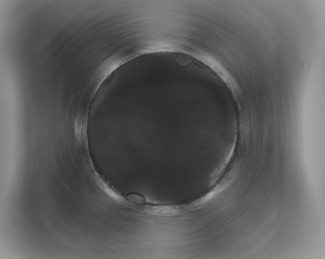 X0000111581337200907301356