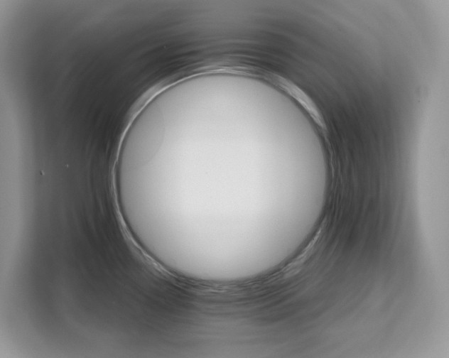 X0000111581338200907301356