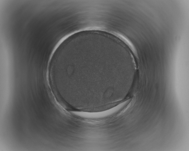 X0000111581340200907301356
