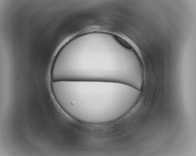 X0000111581341200907301356