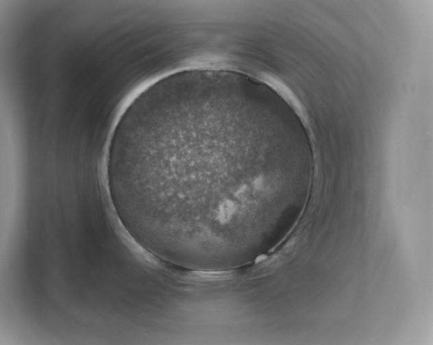 X0000111581344200907301357