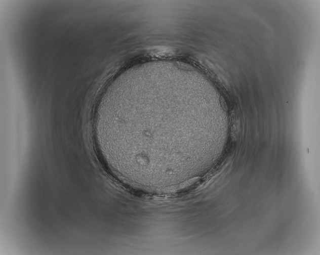 X0000111581345200907301356