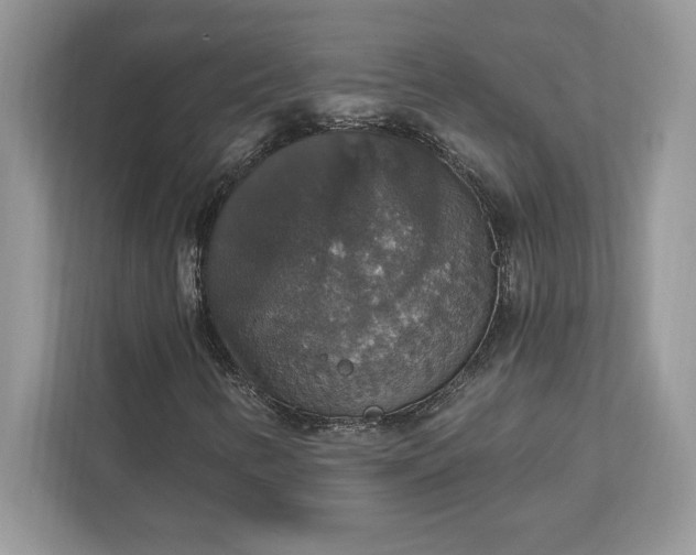 X0000111581346200907301356