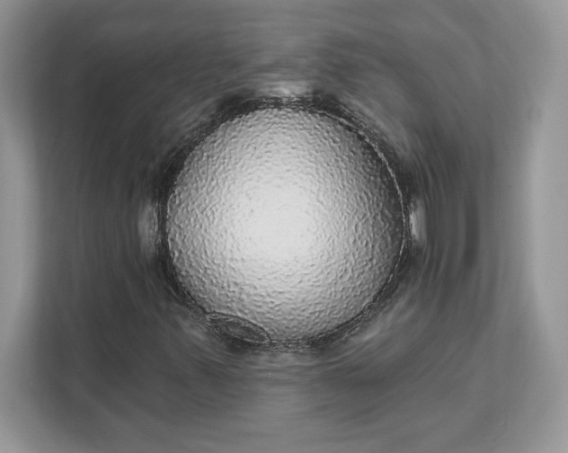 X0000111581347200907301356