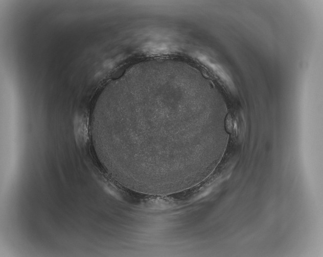 X0000111581348200907301356