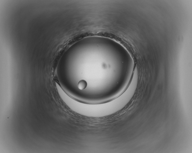 X0000111581349200907301356