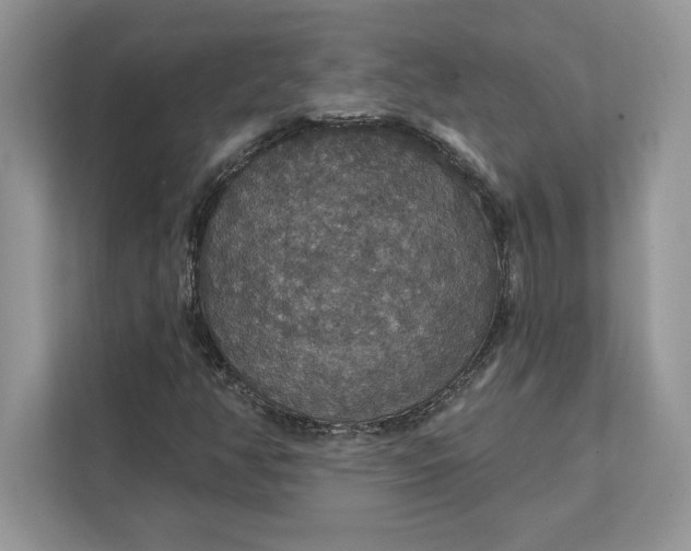 X0000111581350200907301356
