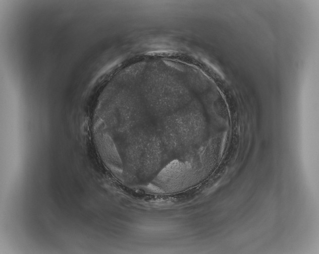 X0000111581351200907301356