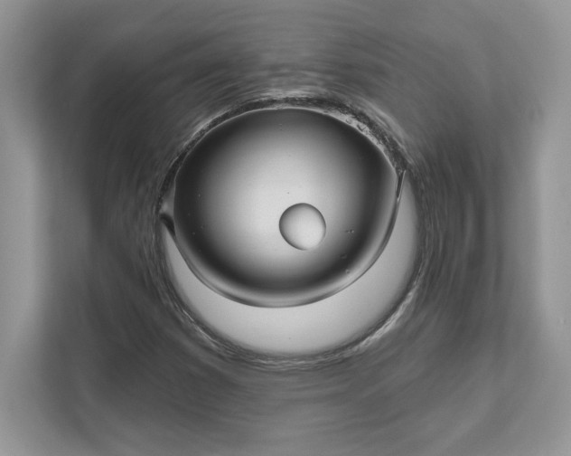 X0000111581353200907301356