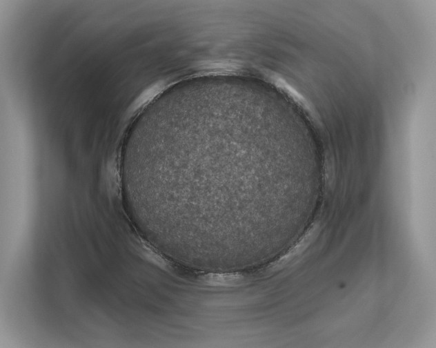 X0000111581354200907301356