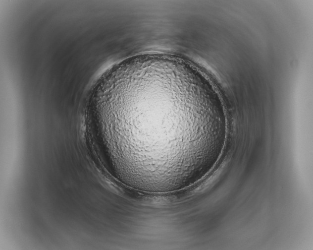 X0000111581355200907301356