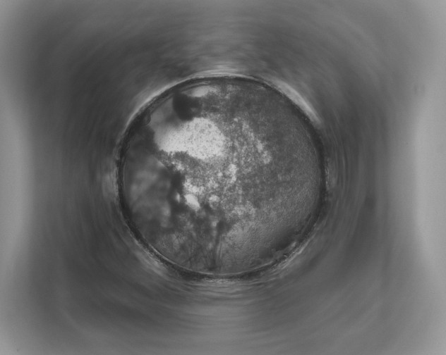 X0000111581356200907301356