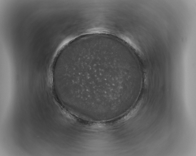 X0000111581358200907301356