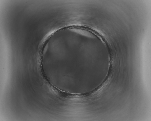 X0000111581359200907301356