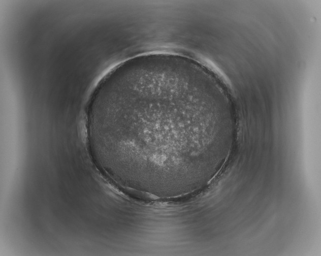 X0000111581360200907301356