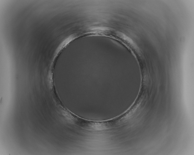 X0000111581362200907301356