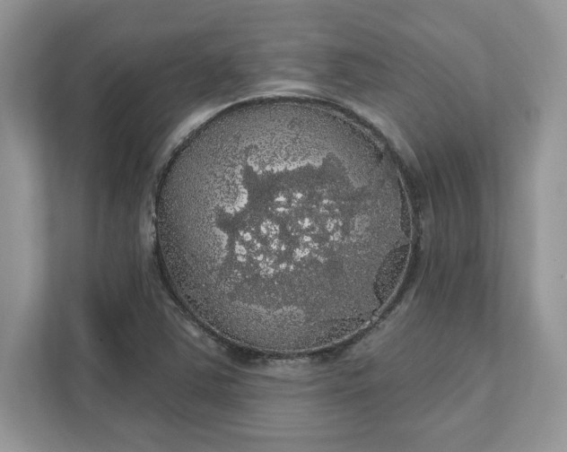 X0000111581363200907301356