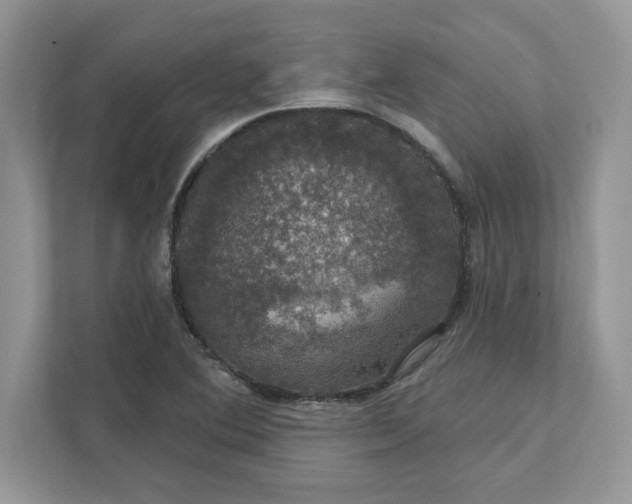 X0000111581364200907301356