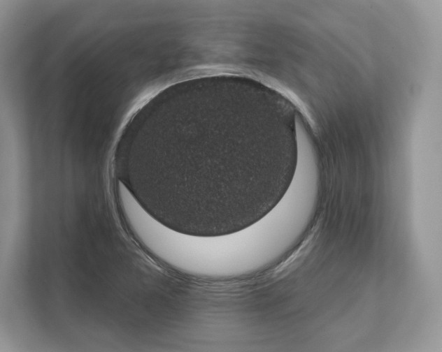 X0000111581365200907301356