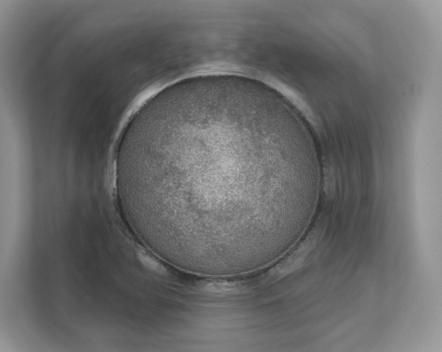 X0000111581366200907301356