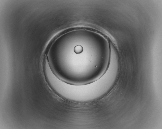 X0000111581368200907301356