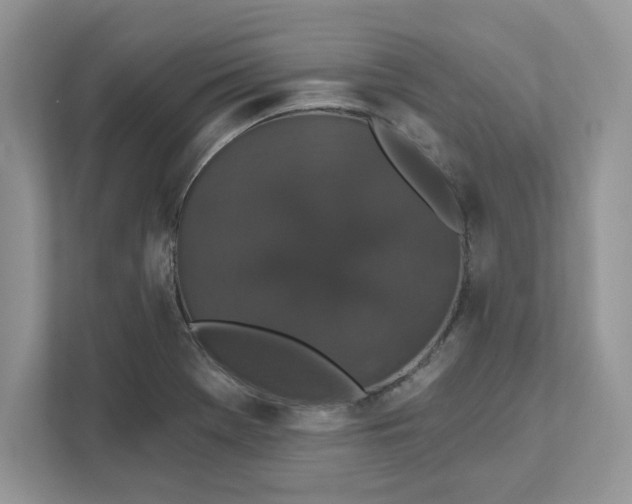 X0000111581369200907301356