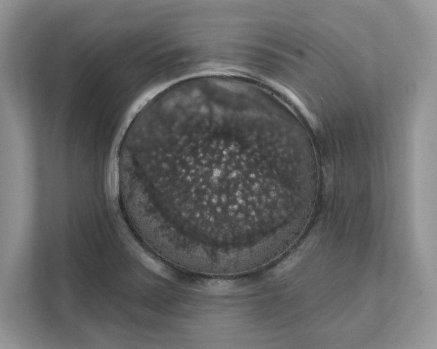 X0000111581371200907301356