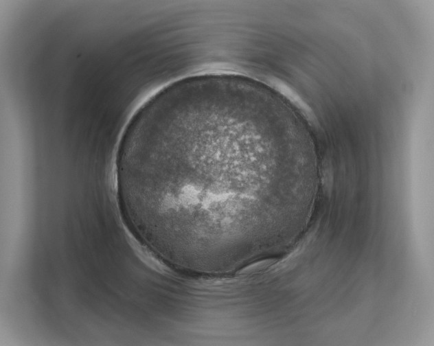 X0000111581372200907301356