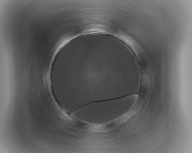 X0000111581373200907301356