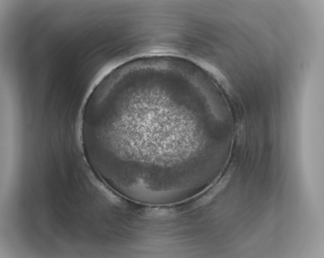 X0000111581374200907301356