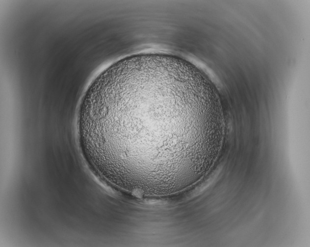 X0000111581375200907301356