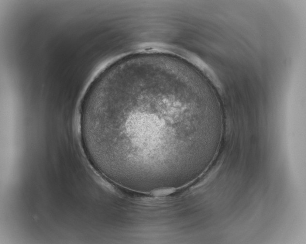 X0000111581376200907301356