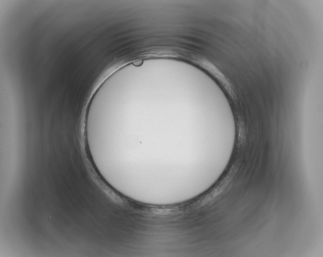 X0000111581378200907301355