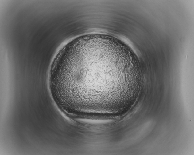X0000111581379200907301355