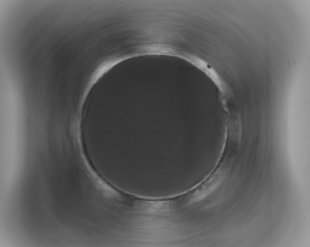 X0000111581381200907301355
