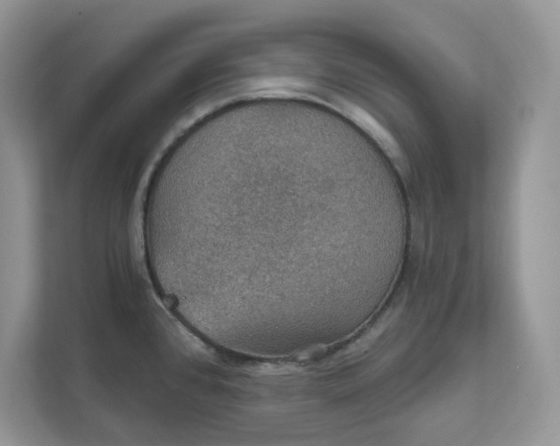 X0000111581384200907301355