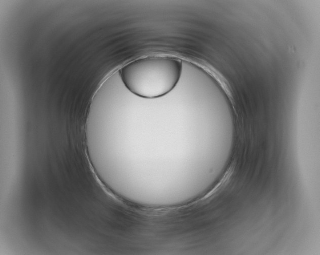 X0000111581385200907301355
