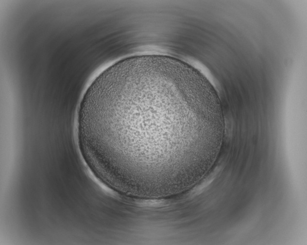 X0000111581387200907301355