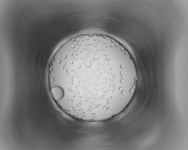 X0000111581390200907301355