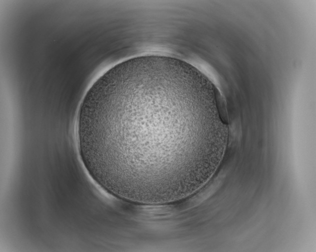 X0000111581391200907301355