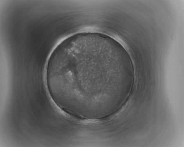 X0000111581392200907301355