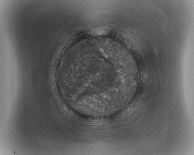 X0000111581393200907301355